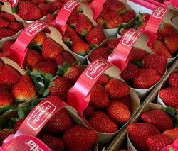 KI generiert: Das Bild zeigt mehrere große Obstkörbe, die mit einer Vielzahl frischer Früchte wie Trauben, Äpfeln, Ananas und Bananen gefüllt sind. Die Körbe sind auf einem Tisch in einer Art Lagerhalle oder Geschäft aufgereiht.