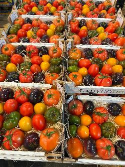 Produktfoto zu Tomaten der Saison